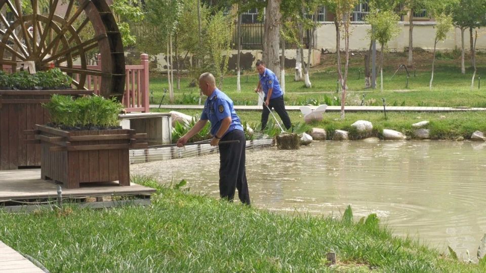 om, 有条不紊地, https om, 有条不紊地, https