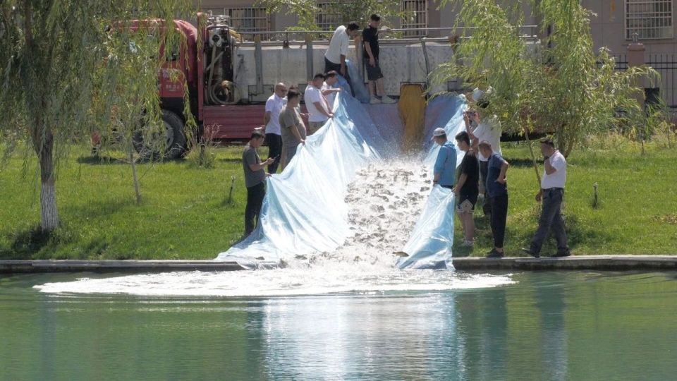 po, 专业周到的 po, 专业周到的