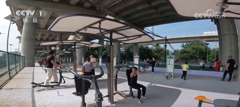 不同年龄群, tenan