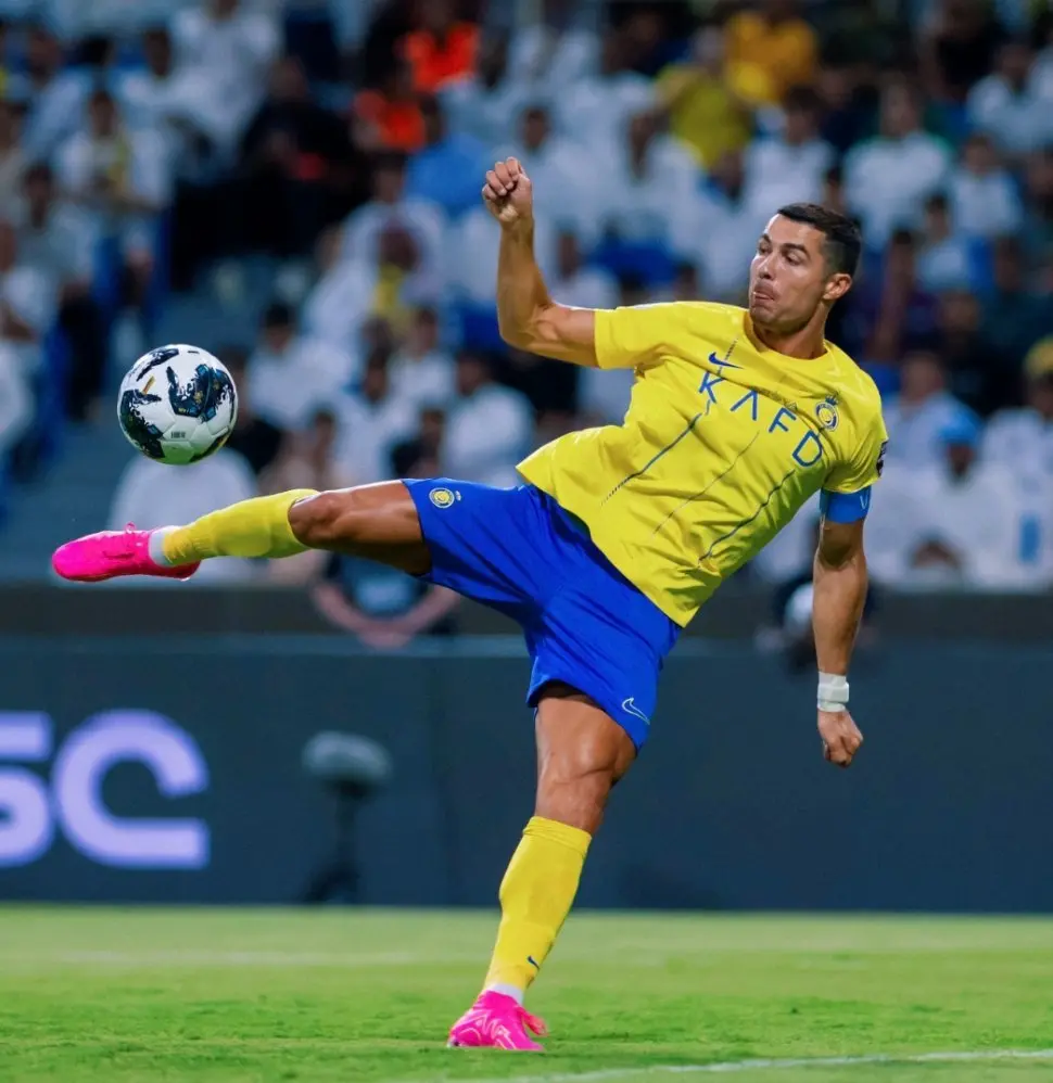 有来自塔吉, 豪门