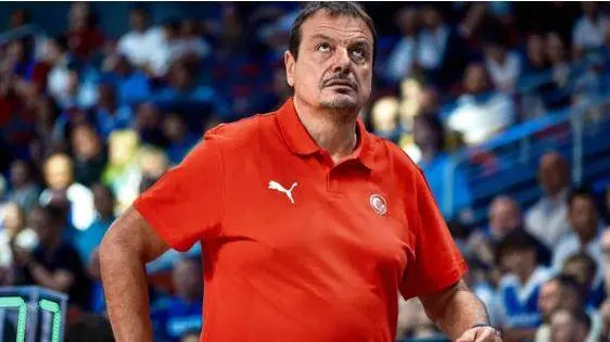 他们与德国, 赛前