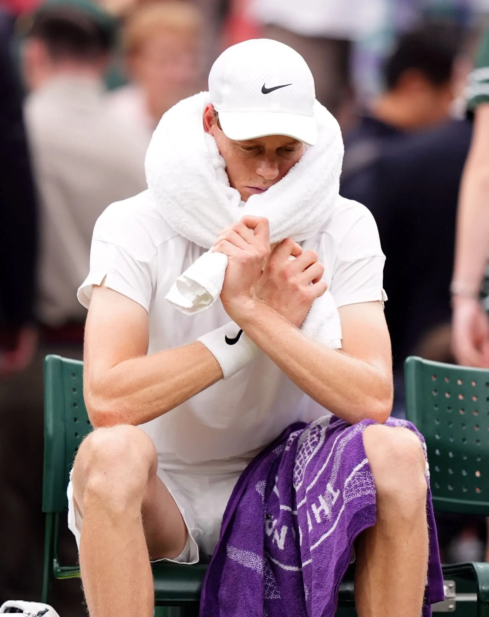 我的家乡 我的家乡