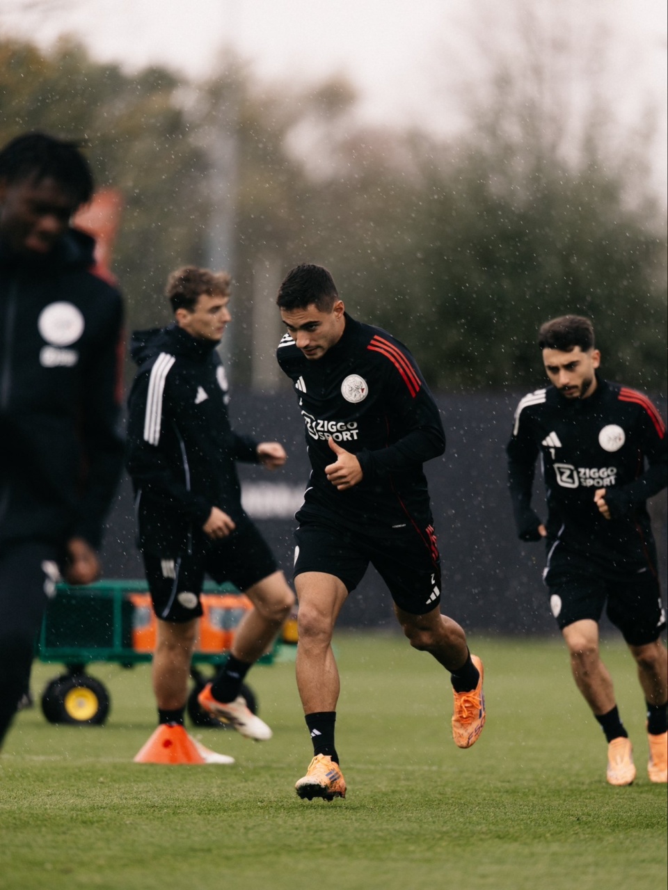 力争拿到, https, news